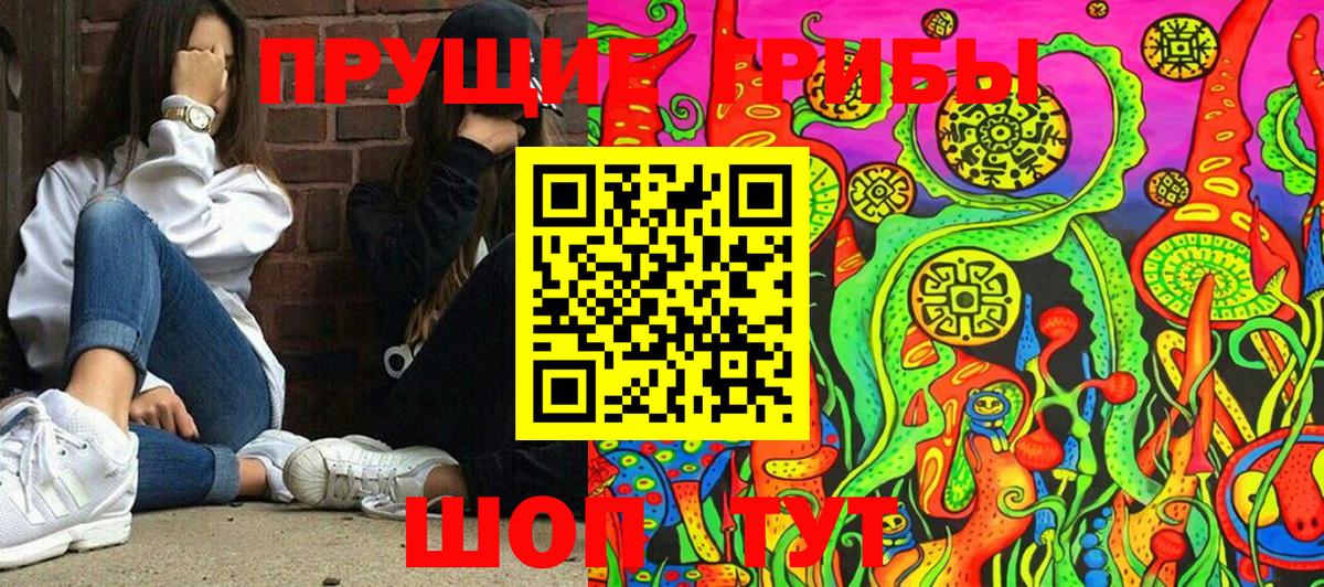 Галлюциногенные грибы MAGIC MUSHROOMS Краснознаменск